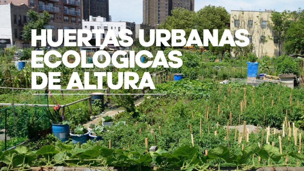 huertas ecológicas de altura