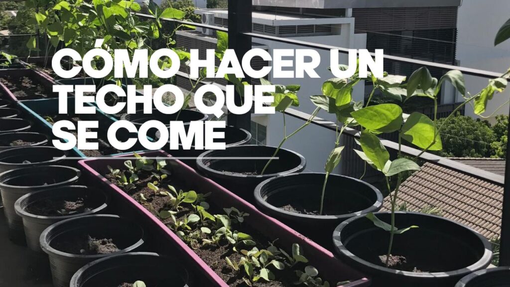 como hacer un techo que se come