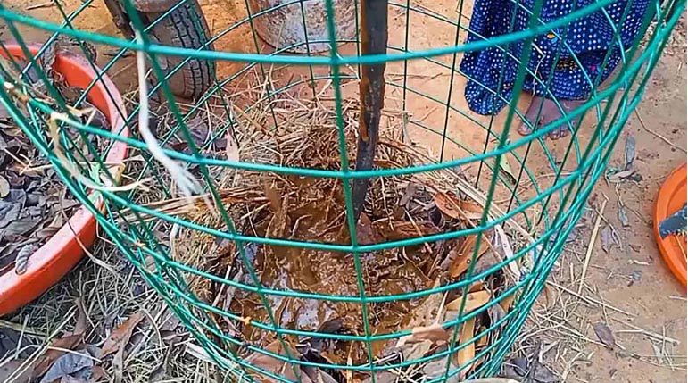 torre de papas proceso 5