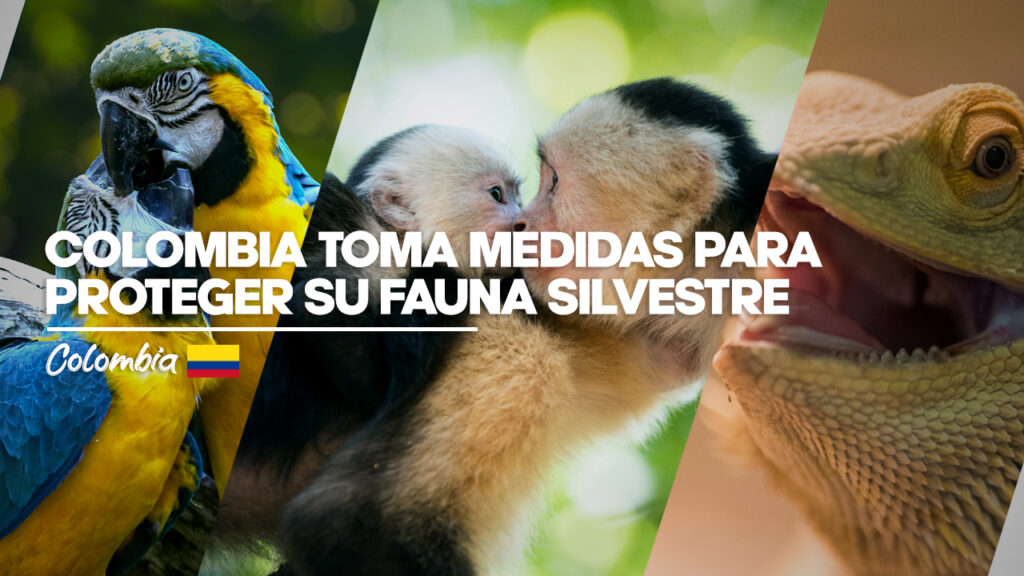 Colombia toma medidas para proteger su fauna silvestre