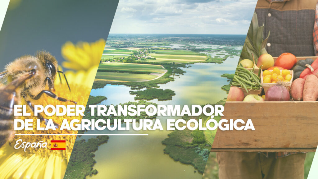 El poder transformador de la agricultura ecológica