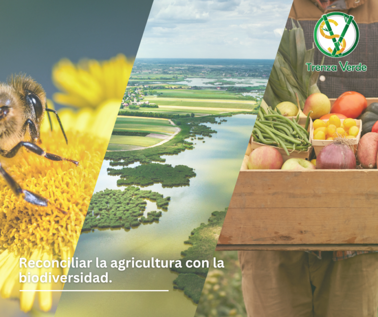 biodiversidad y agricultura